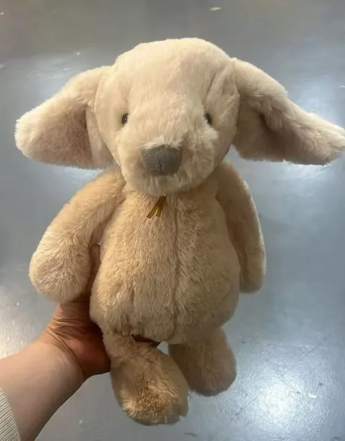 Jin Peugeot Zhen Shy Orlando Puppy