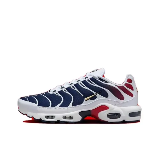 TN-3