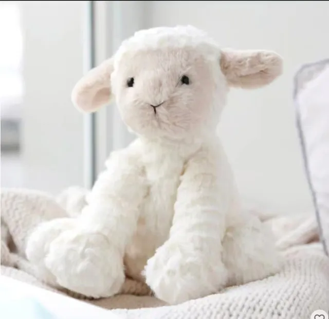 Wave haired lamb