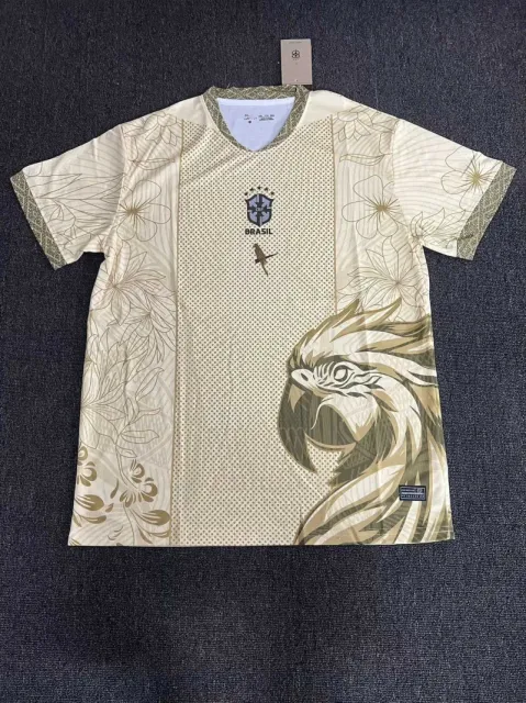 巴西11