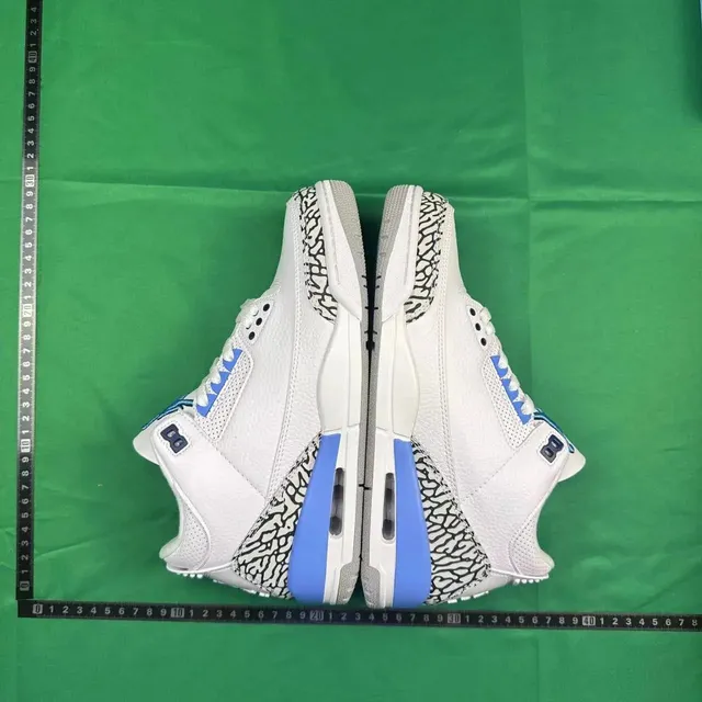 Air Jordan 3 True Blue