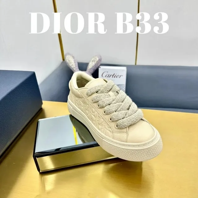Dior B33