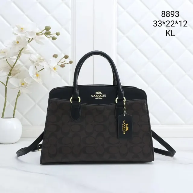 Coach Satchel Signature Canvas