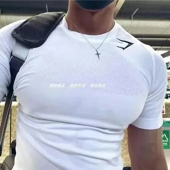 Fans Finds