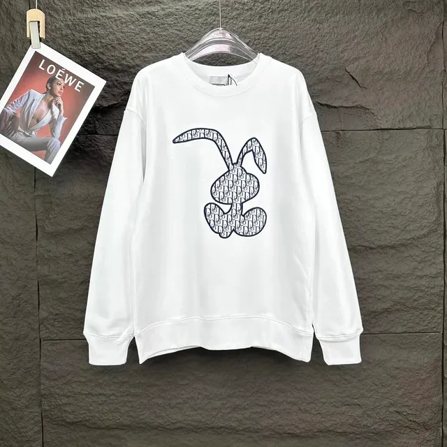 Dior hoodies sweatshirts