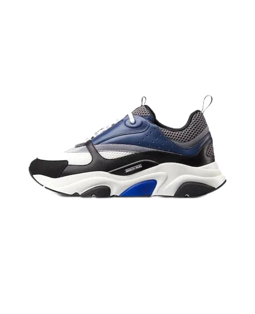 Dior B22