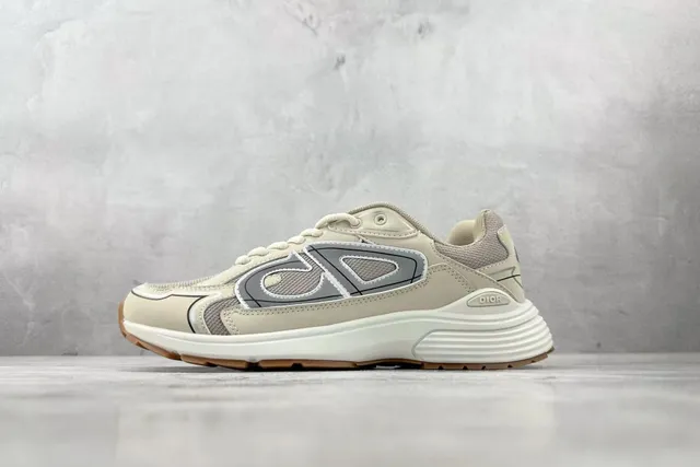Dior B22 Beige Grey