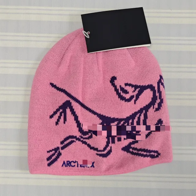 Beanie Arc'teryx Logo