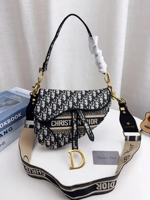 Dior Saddle Bag Oblique Canvas