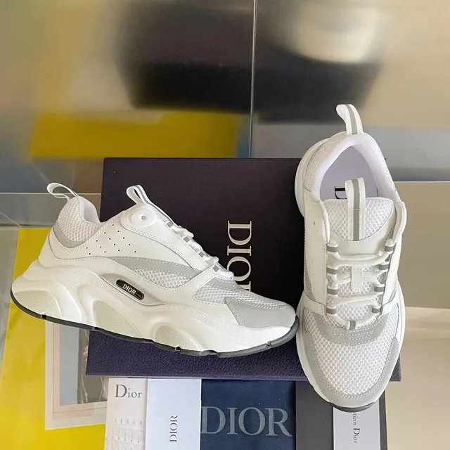 Dior B22 White Grey