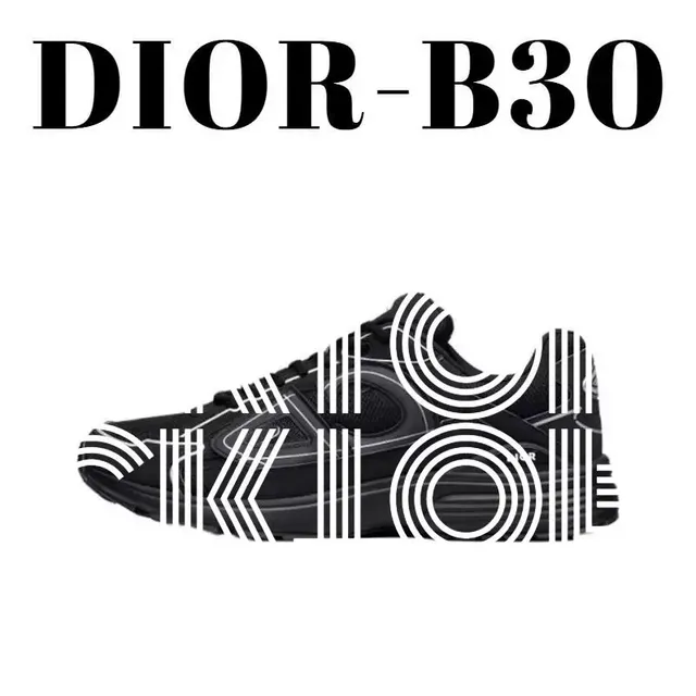 Dior sneakers