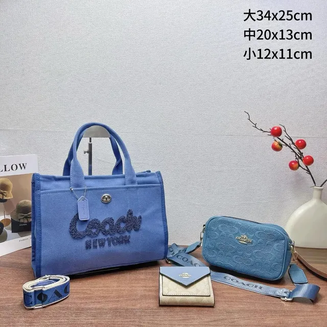 Coach Canvas Tote Set Embroidered Logo