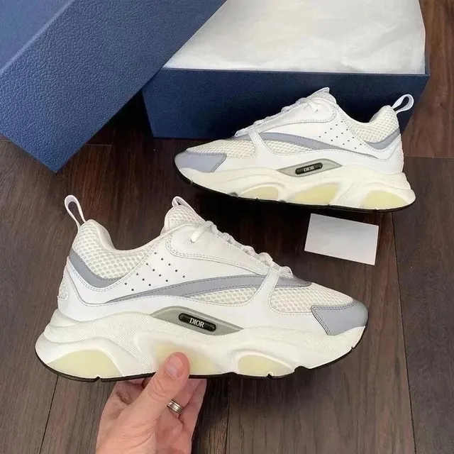 Dior B22 White Grey