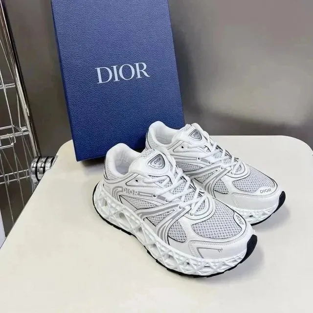 Dior B22 White Mesh