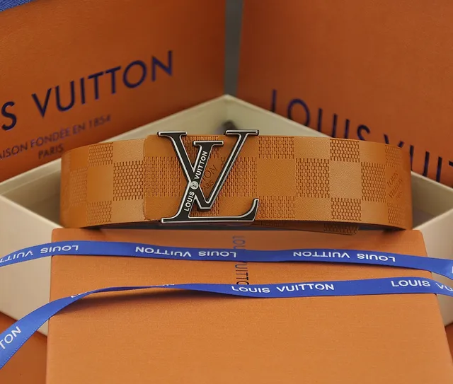 Louis Vuitton LV Belt Damier Infini