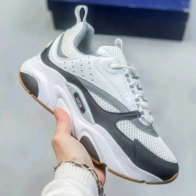 Dior B22 White Grey