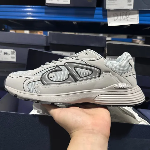 Dior B22 Monogram Grey