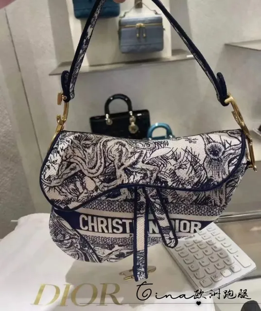 Dior Saddle Bag Dragon Print