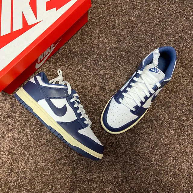 Nike Dunk Low Navy and White