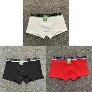 Kenzo Boxer Briefs Logo Waistband