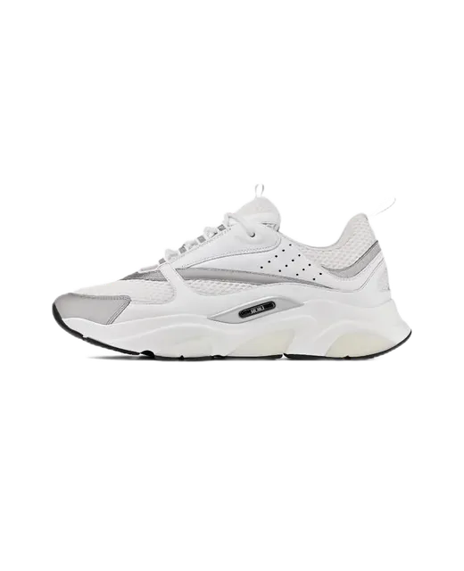 Dior B22
