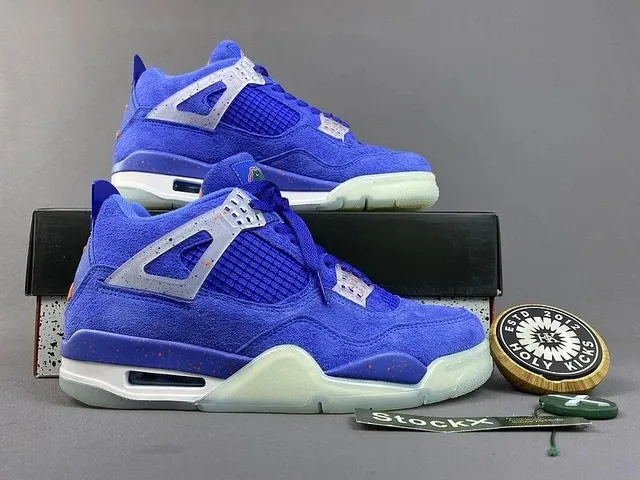 Air Jordan 4 Raptors