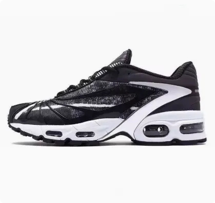Nike Air Max TN Black White