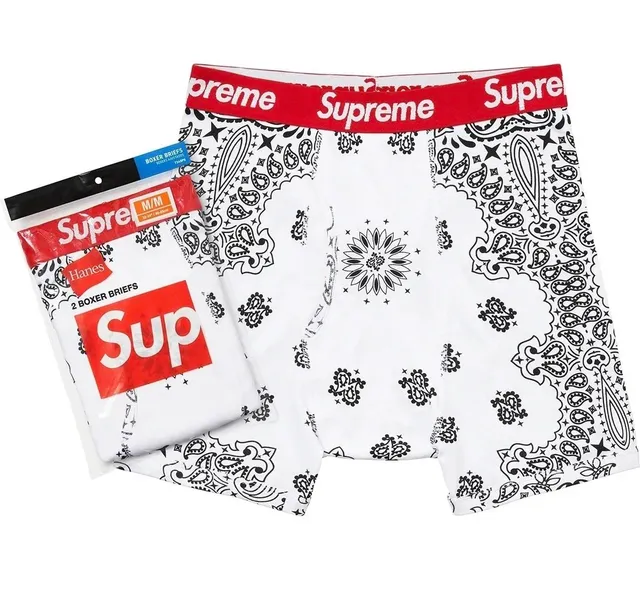 Supreme Boxer Briefs Paisley Print