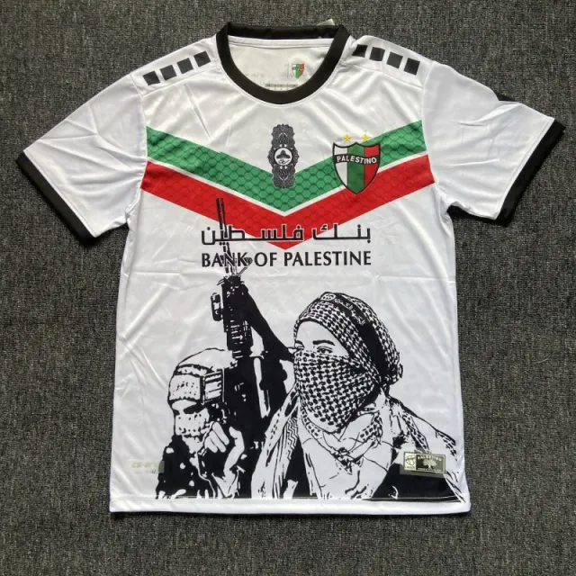 巴勒斯坦8