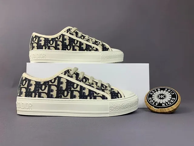 Dior B22 Sneaker Oblique Print