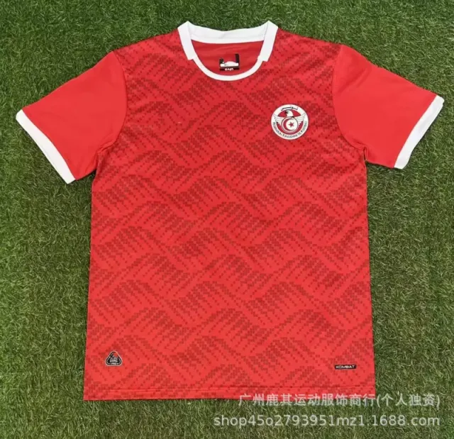 2627突尼斯主场