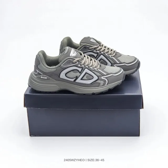 Dior B22 Grey