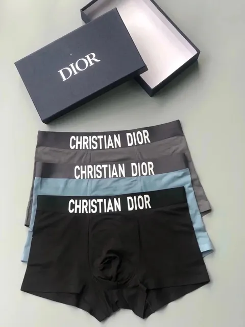 Dior Boxer Briefs Logo Waistband