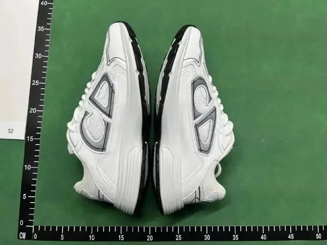 Dior B22 White Grey Black