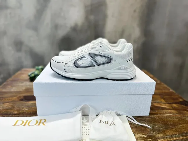 Dior B22 White Grey