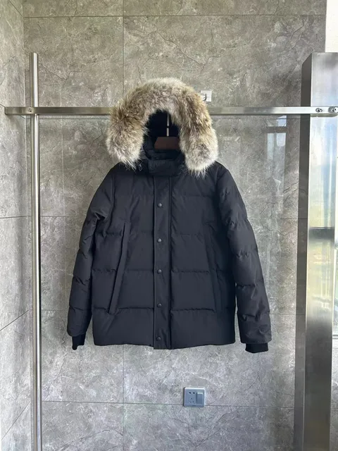 黑色黑标(Black Black Label)