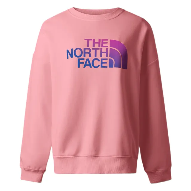 The North Face Crewneck Sweatshirt Logo Print