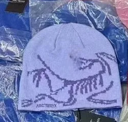 Arc'teryx Beanie Dinosaur Print