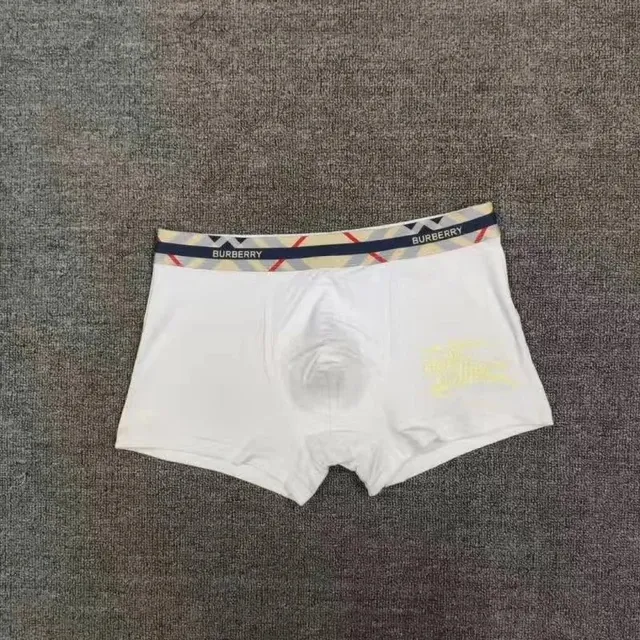 Burberry Boxer Brief Checkered Waistband