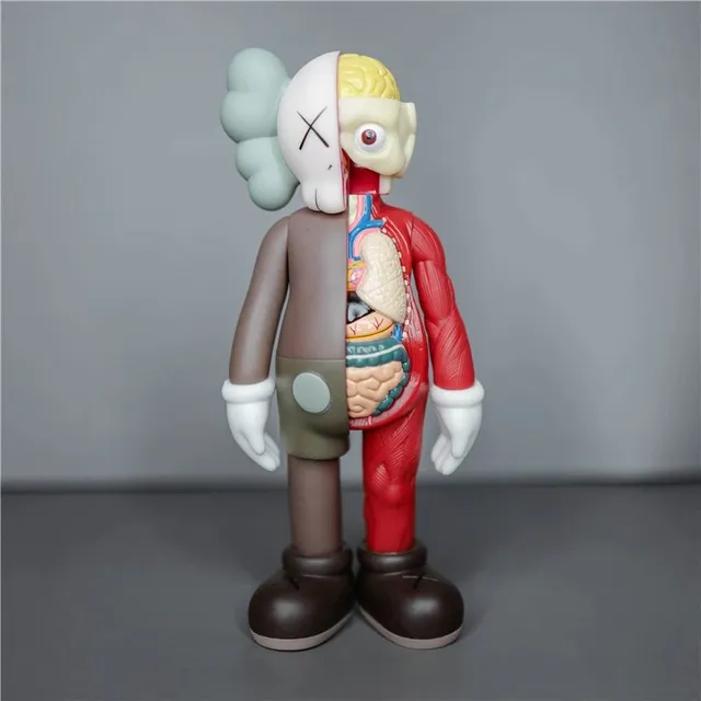 20cm 半解剖 咖色【盒装】