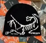 Beanie Arc'teryx Logo