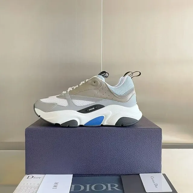 Dior B22 Grey White Blue
