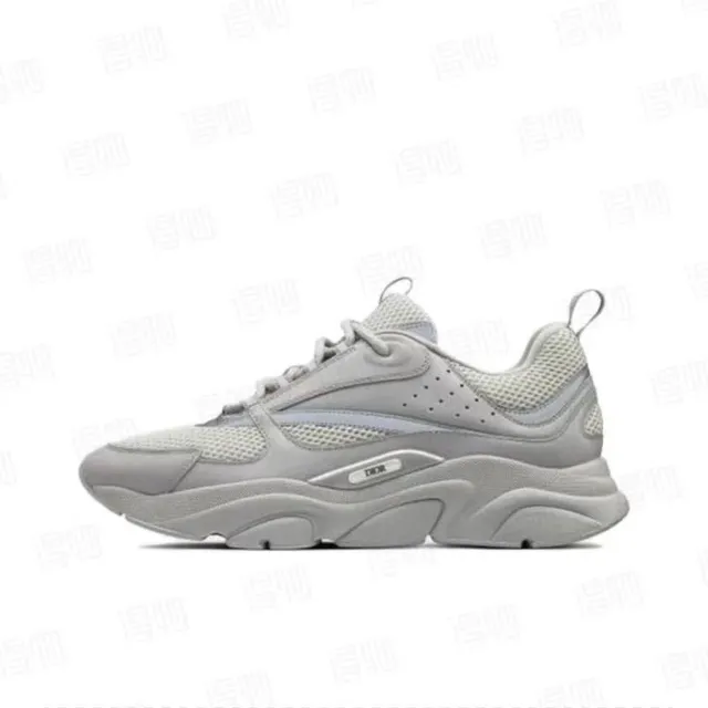 Dior B22 Monochrome Grey