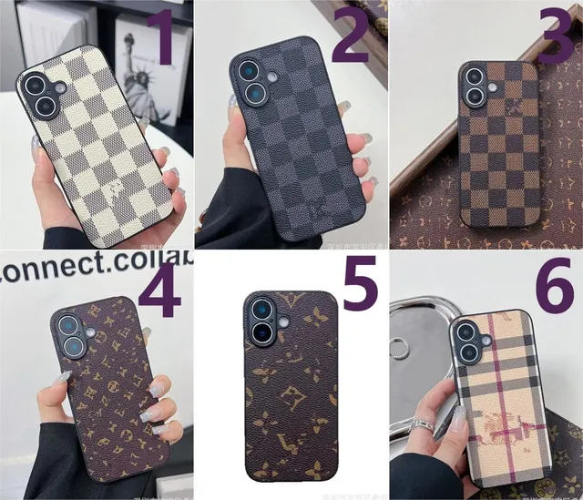 Louis Vuitton Phone Case Damier & Monogram Print