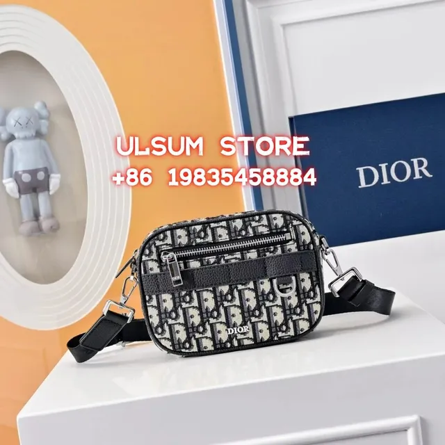 Dior handbags Oblique Print