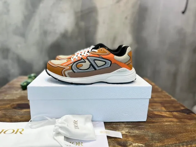 Dior B22 Multicolor