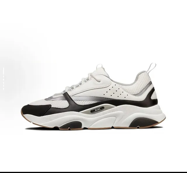 Dior B22 White Black Grey