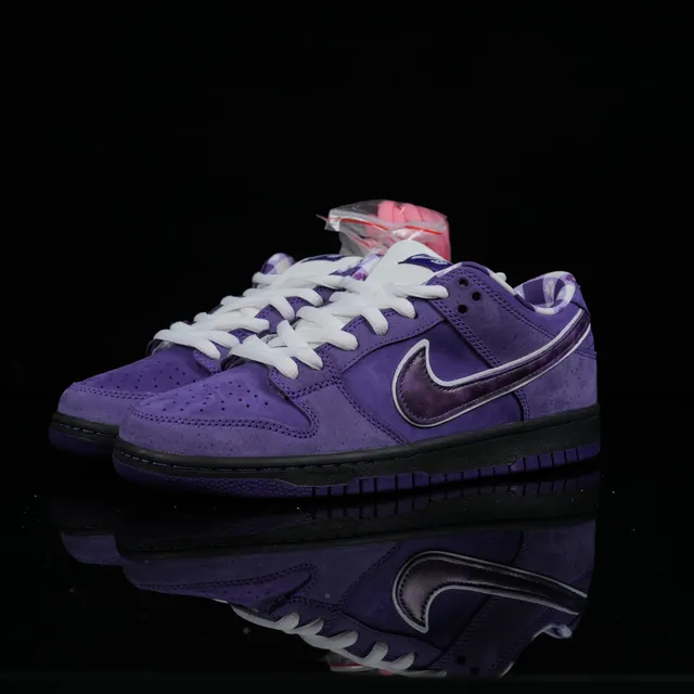 Dunk SB 黑加仑紫-BV1310-555
