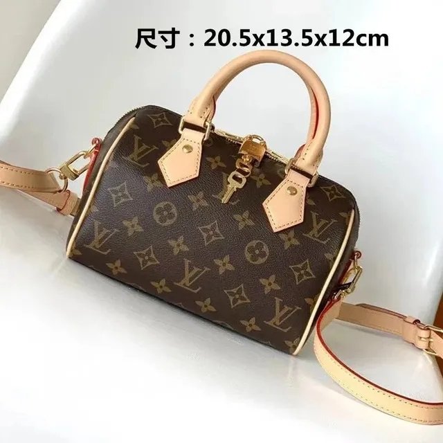 Louis Vuitton handbags