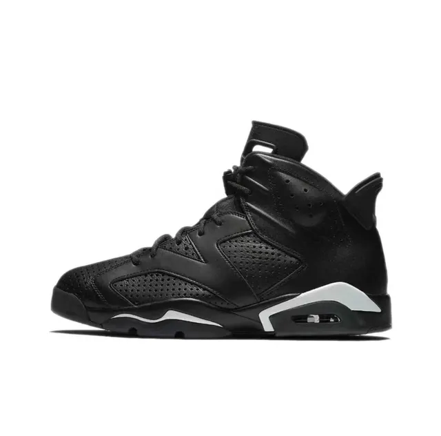 Air Jordan 6